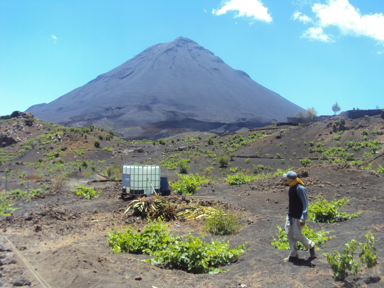 Paride Porpora nei vigneti del vulcano Pico do Fogo, Capo Verde
