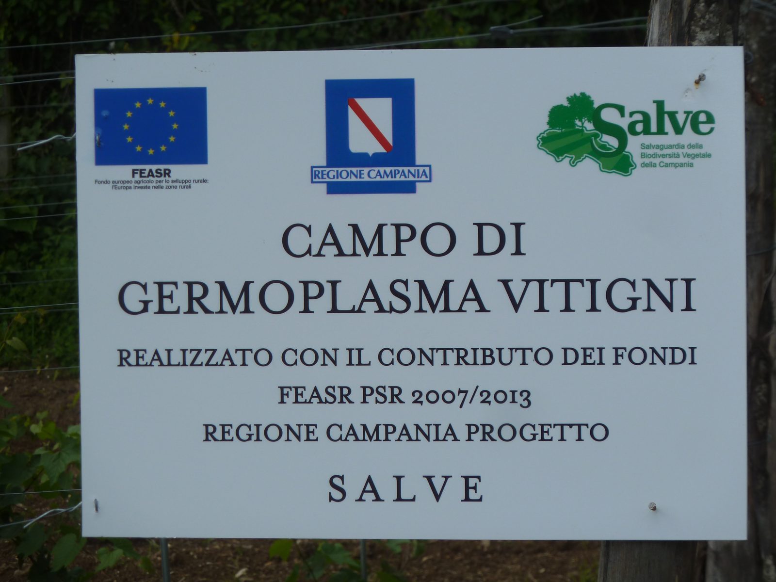 Cartello del campo di germoplasma vitigni del progetto SALVE
